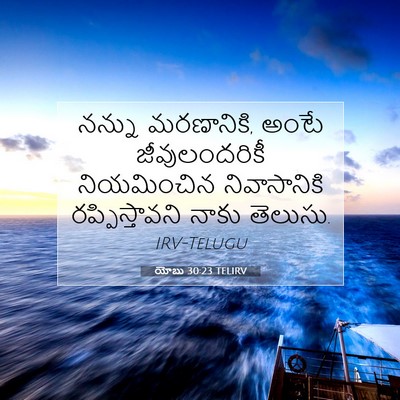 Picture 07 - యోబు 30:23 TELIRV - నన్ను మరణానికి, - Bible Verse Picture