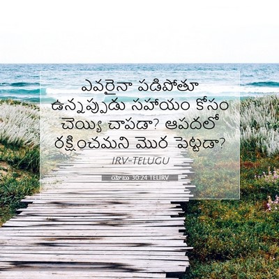 Picture 07 - యోబు 30:24 TELIRV - ఎవరైనా పడిపోతూ - Bible Verse Picture