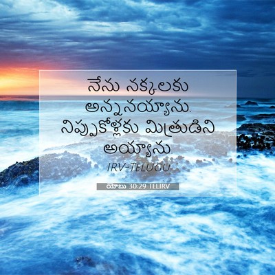 Picture 07 - యోబు 30:29 TELIRV - నేను నక్కలకు - Bible Verse Picture