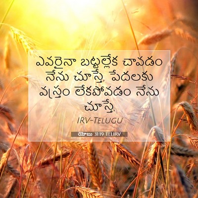Picture 07 - యోబు 31:19 TELIRV - ఎవరైనా బట్టల్లేక - Bible Verse Picture