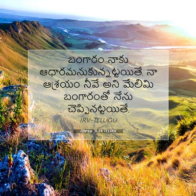 Picture 07 - యోబు 31:24 TELIRV - బంగారం నాకు - Bible Verse Picture