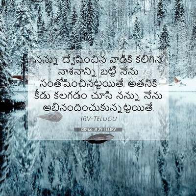 Picture 07 - యోబు 31:29 TELIRV - నన్ను ద్వేషించిన - Bible Verse Picture