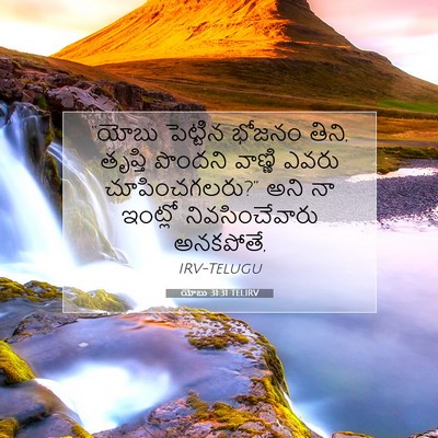 Picture 07 - యోబు 31:31 TELIRV - “యోబు పెట్టిన - Bible Verse Picture