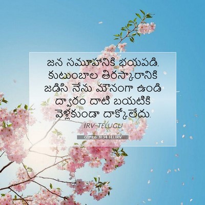 Picture 07 - యోబు 31:34 TELIRV - జన సమూహానికి - Bible Verse Picture