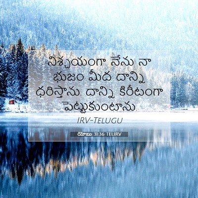 Picture 07 - యోబు 31:36 TELIRV - నిశ్చయంగా నేను నా - Bible Verse Picture