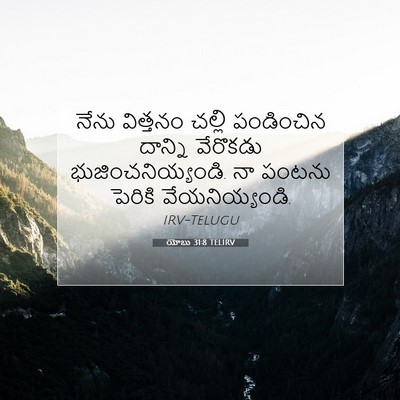 Picture 07 - యోబు 31:8 TELIRV - నేను విత్తనం - Bible Verse Picture