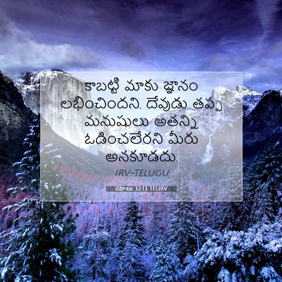 Picture 07 - యోబు 32:13 TELIRV - కాబట్టి మాకు - Bible Verse Picture