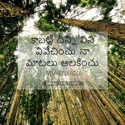 Picture 07 - యోబు 34:16 TELIRV - కాబట్టి దీన్ని - Bible Verse Picture