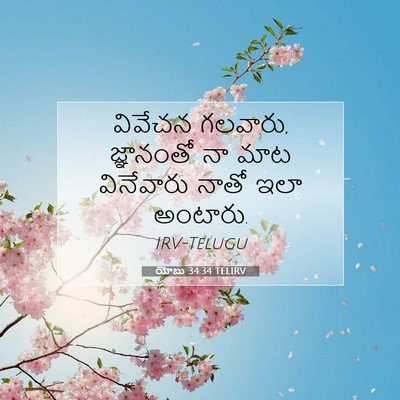 Picture 07 - యోబు 34:34 TELIRV - వివేచన గలవారు, - Bible Verse Picture