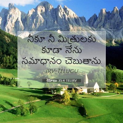 Picture 07 - యోబు 35:4 TELIRV - నీకూ నీ మిత్రులకు - Bible Verse Picture