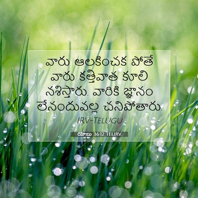 Picture 07 - యోబు 36:12 TELIRV - వారు ఆలకించక పోతే - Bible Verse Picture