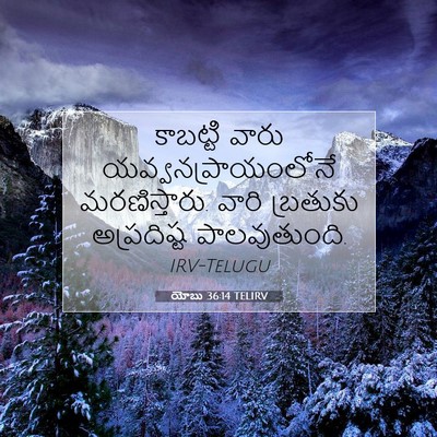 Picture 07 - యోబు 36:14 TELIRV - కాబట్టి వారు - Bible Verse Picture