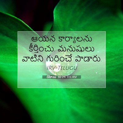 Picture 07 - యోబు 36:24 TELIRV - ఆయన కార్యాలను - Bible Verse Picture
