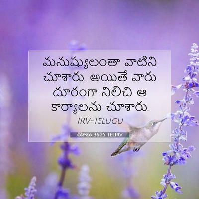 Picture 07 - యోబు 36:25 TELIRV - మనుష్యులంతా - Bible Verse Picture