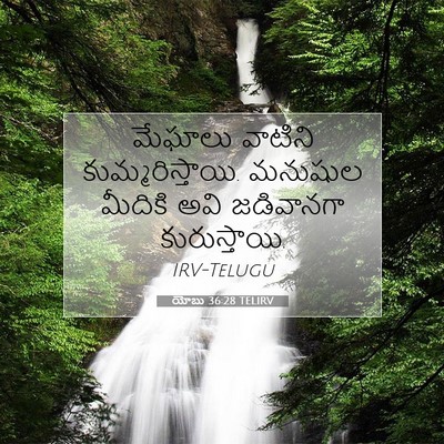 Picture 07 - యోబు 36:28 TELIRV - మేఘాలు వాటిని - Bible Verse Picture