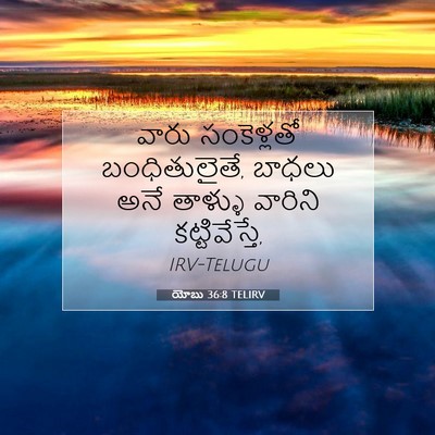 Picture 07 - యోబు 36:8 TELIRV - వారు సంకెళ్లతో - Bible Verse Picture