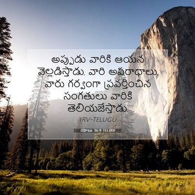 Picture 07 - యోబు 36:9 TELIRV - అప్పుడు వారికి - Bible Verse Picture