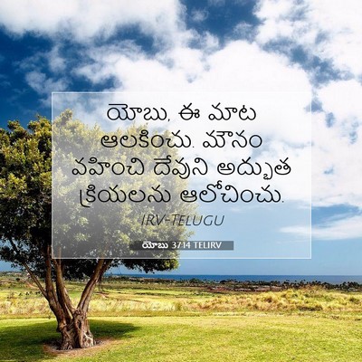Picture 07 - యోబు 37:14 TELIRV - యోబు, ఈ మాట - Bible Verse Picture