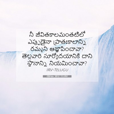 Picture 07 - యోబు 38:12 TELIRV - నీ - Bible Verse Picture
