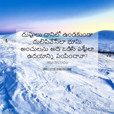 Picture 07 - యోబు 38:13 TELIRV - దుష్టులు దానిలో - Bible Verse Picture