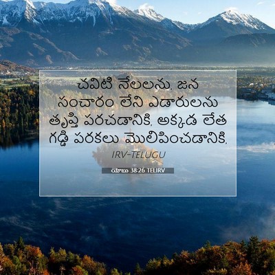 Picture 07 - యోబు 38:26 TELIRV - చవిటి నేలలను, జన - Bible Verse Picture