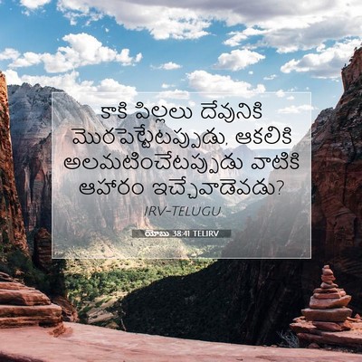 Picture 07 - యోబు 38:41 TELIRV - కాకి పిల్లలు - Bible Verse Picture