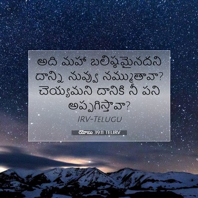 Picture 07 - యోబు 39:11 TELIRV - అది మహా - Bible Verse Picture