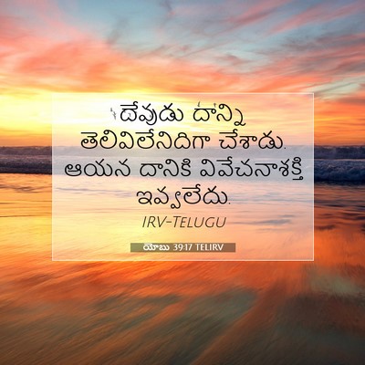 Picture 07 - యోబు 39:17 TELIRV - దేవుడు దాన్ని - Bible Verse Picture