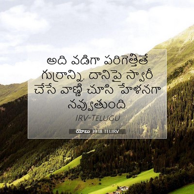 Picture 07 - యోబు 39:18 TELIRV - అది వడిగా - Bible Verse Picture