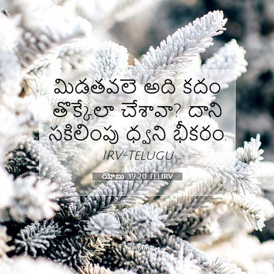 Picture 07 - యోబు 39:20 TELIRV - మిడతవలె అది కదం - Bible Verse Picture