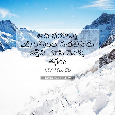 Picture 07 - యోబు 39:22 TELIRV - అది భయాన్ని - Bible Verse Picture