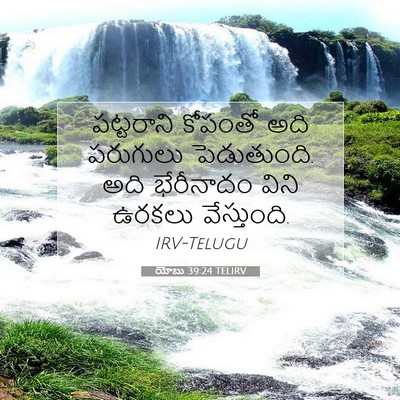Picture 07 - యోబు 39:24 TELIRV - పట్టరాని కోపంతో - Bible Verse Picture