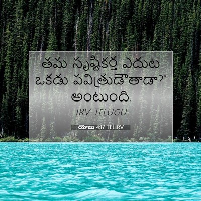 Picture 07 - యోబు 4:17 TELIRV - తమ సృష్టికర్త - Bible Verse Picture