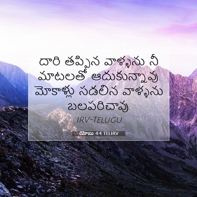 Picture 07 - యోబు 4:4 TELIRV - దారి తప్పిన - Bible Verse Picture