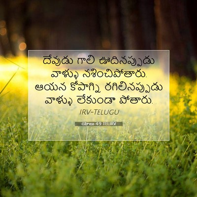 Picture 07 - యోబు 4:9 TELIRV - దేవుడు గాలి - Bible Verse Picture
