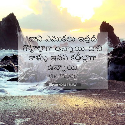 Picture 07 - యోబు 40:18 TELIRV - దాని ఎముకలు - Bible Verse Picture
