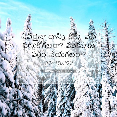 Picture 07 - యోబు 40:24 TELIRV - ఎవరైనా దాన్ని - Bible Verse Picture