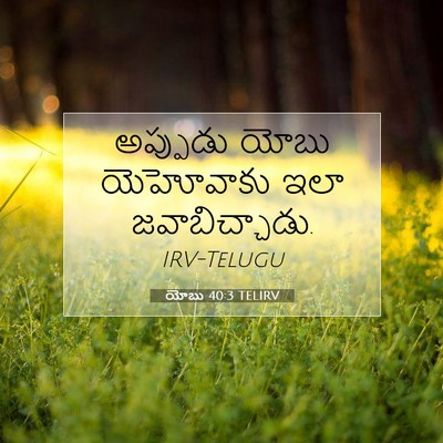 Picture 07 - యోబు 40:3 TELIRV - అప్పుడు యోబు - Bible Verse Picture