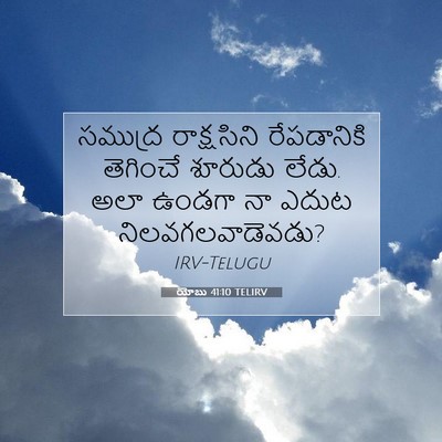 Picture 07 - యోబు 41:10 TELIRV - సముద్ర రాక్షసిని - Bible Verse Picture