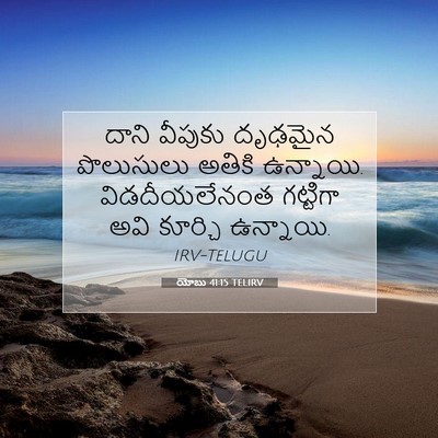 Picture 07 - యోబు 41:15 TELIRV - దాని వీపుకు - Bible Verse Picture