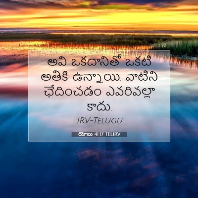 Picture 07 - యోబు 41:17 TELIRV - అవి ఒకదానితో ఒకటి - Bible Verse Picture