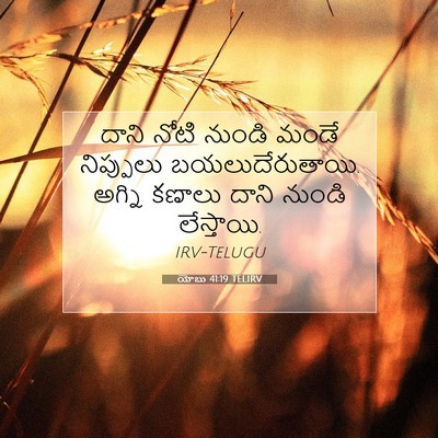 Picture 07 - యోబు 41:19 TELIRV - దాని నోటి నుండి - Bible Verse Picture