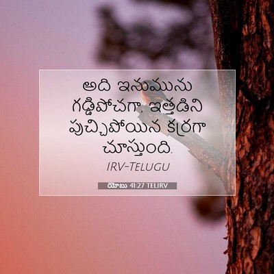 Picture 07 - యోబు 41:27 TELIRV - అది ఇనుమును - Bible Verse Picture