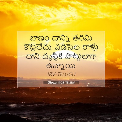 Picture 07 - యోబు 41:28 TELIRV - బాణం దాన్ని తరిమి - Bible Verse Picture