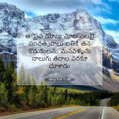 Picture 07 - యోబు 42:16 TELIRV - ఆ పైన యోబు నూట నలభై - Bible Verse Picture