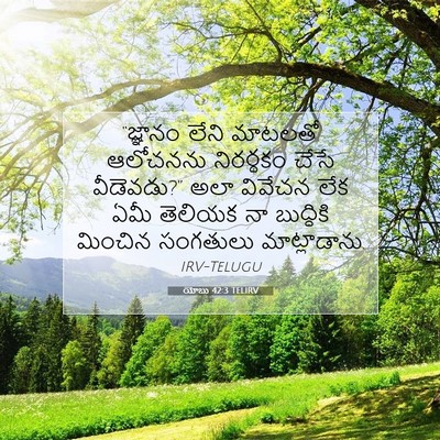 Picture 07 - యోబు 42:3 TELIRV - “జ్ఞానం లేని - Bible Verse Picture