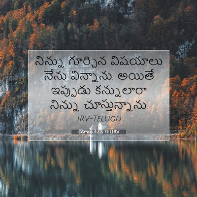 Picture 07 - యోబు 42:5 TELIRV - నిన్ను గూర్చిన - Bible Verse Picture
