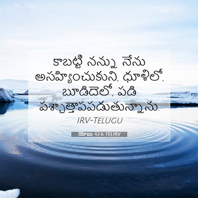 Picture 07 - యోబు 42:6 TELIRV - కాబట్టి నన్ను - Bible Verse Picture