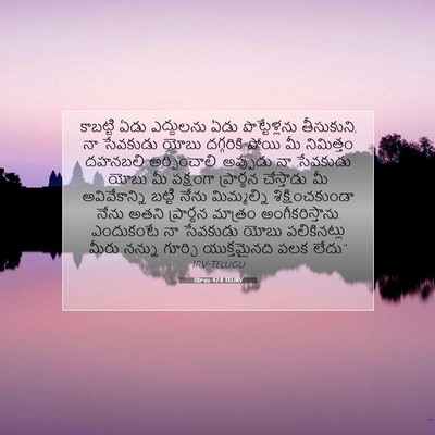 Picture 07 - యోబు 42:8 TELIRV - కాబట్టి ఏడు - Bible Verse Picture
