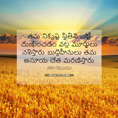 Picture 07 - యోబు 5:2 TELIRV - తమ నికృష్ట - Bible Verse Picture